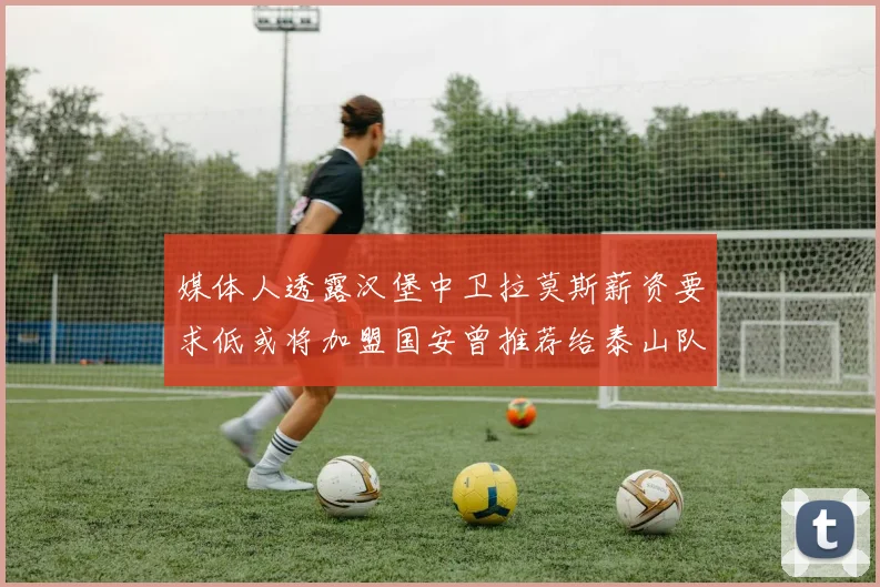 媒体人透露汉堡中卫拉莫斯薪资要求低或将加盟国安曾推荐给泰山队